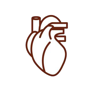 Cardiologists