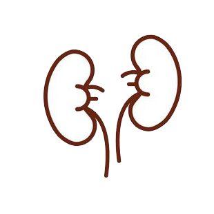 Nephrologists